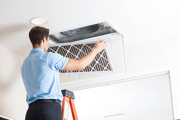 Best Air quality test  in South Williamsport, PA